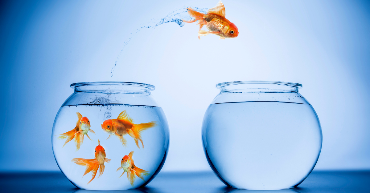 Heartland Advisors Colin McWey